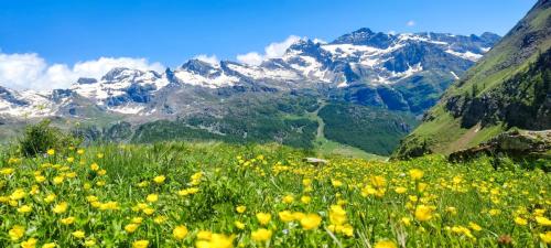 Karol Adamski Safe2Summits Monte Rosa