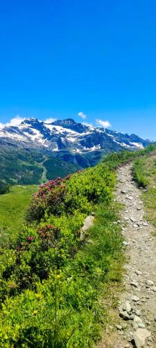 Karol Adamski Safe2Summits Monte Rosa